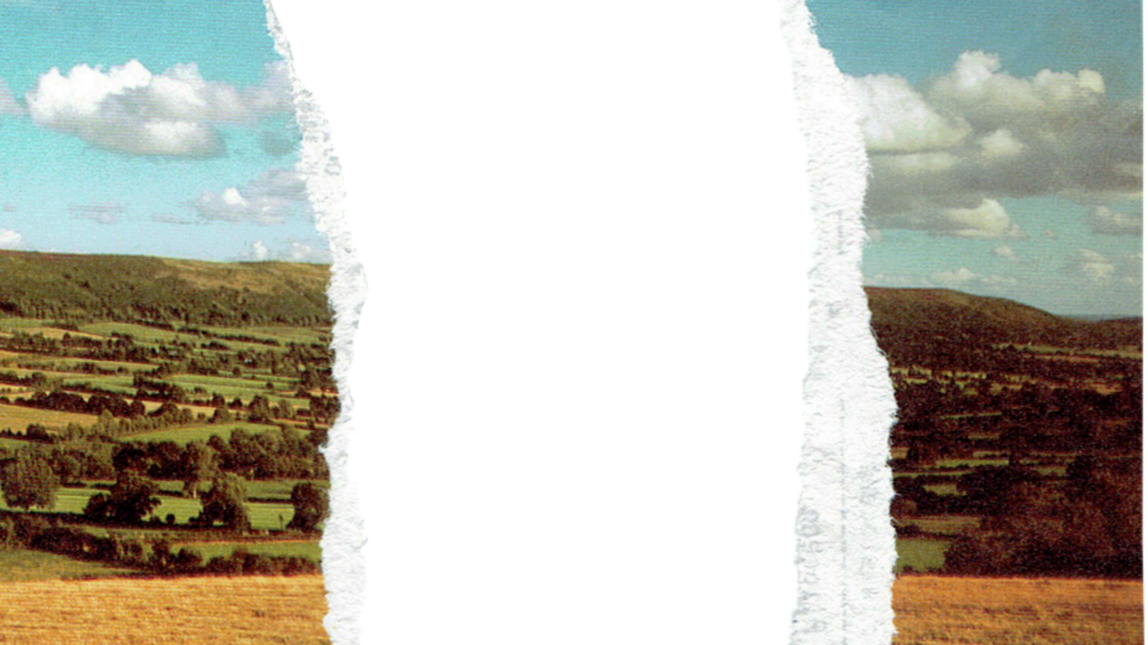 Autocraft cinematic workspace preview